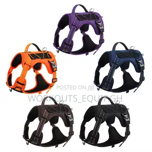 Leash, Collar and Harness Complete Set for Dogs