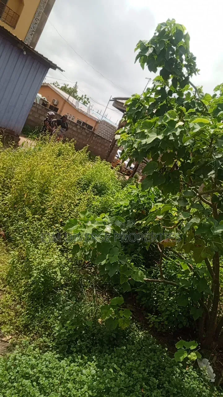Genuine Quarter of Land for Sale at Teshie Tsuibleoo Around Aloway.