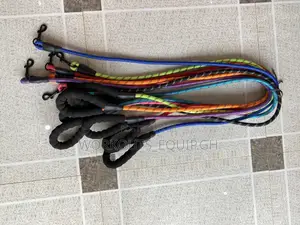 Colorful Dog Leash