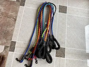 Colorful Dog Leash