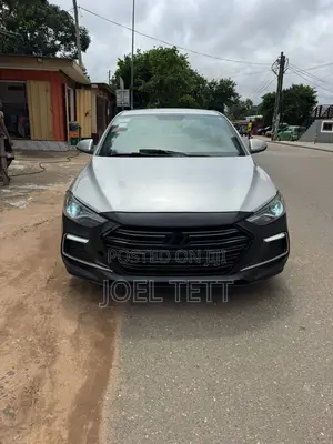Hyundai Elantra 2017 Gray