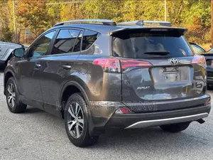 Toyota RAV4 XLE FWD (2.5L 4cyl 6A) 2017 Gray