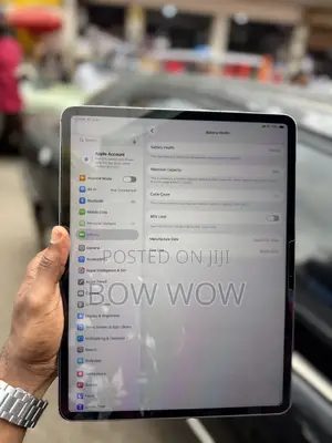 Apple iPad Air 13 (2024) 256 GB Silver