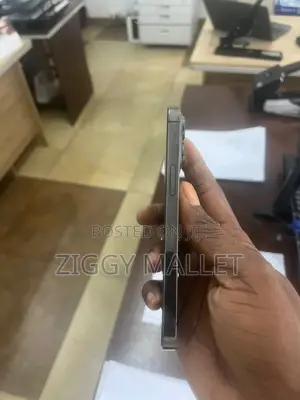 Apple iPhone 13 Pro 256 GB Gray