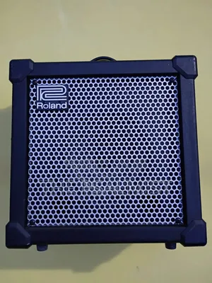 Roland Cube 20gxl Cosm Guitar Combo