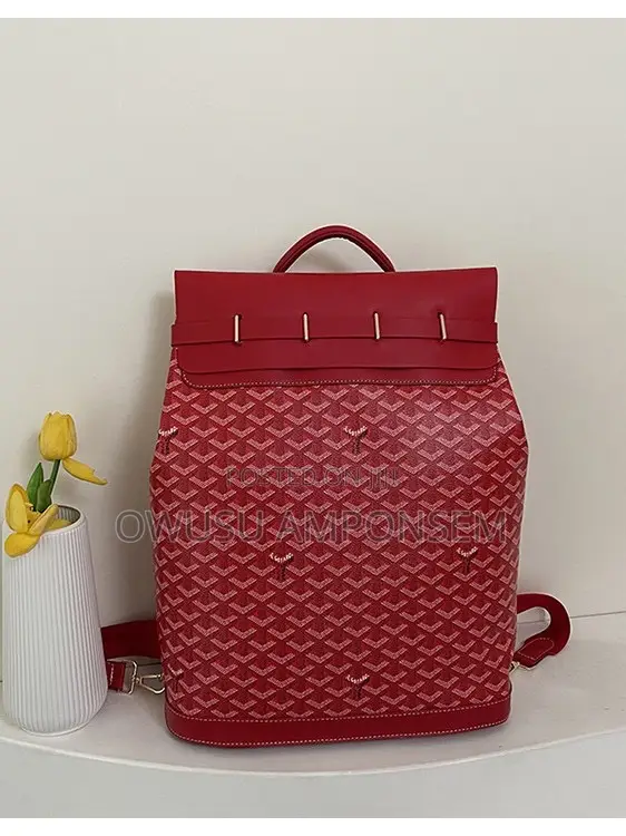 Goyard Backpack
