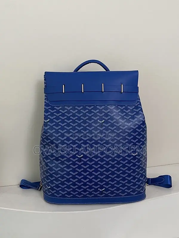 Goyard Backpack