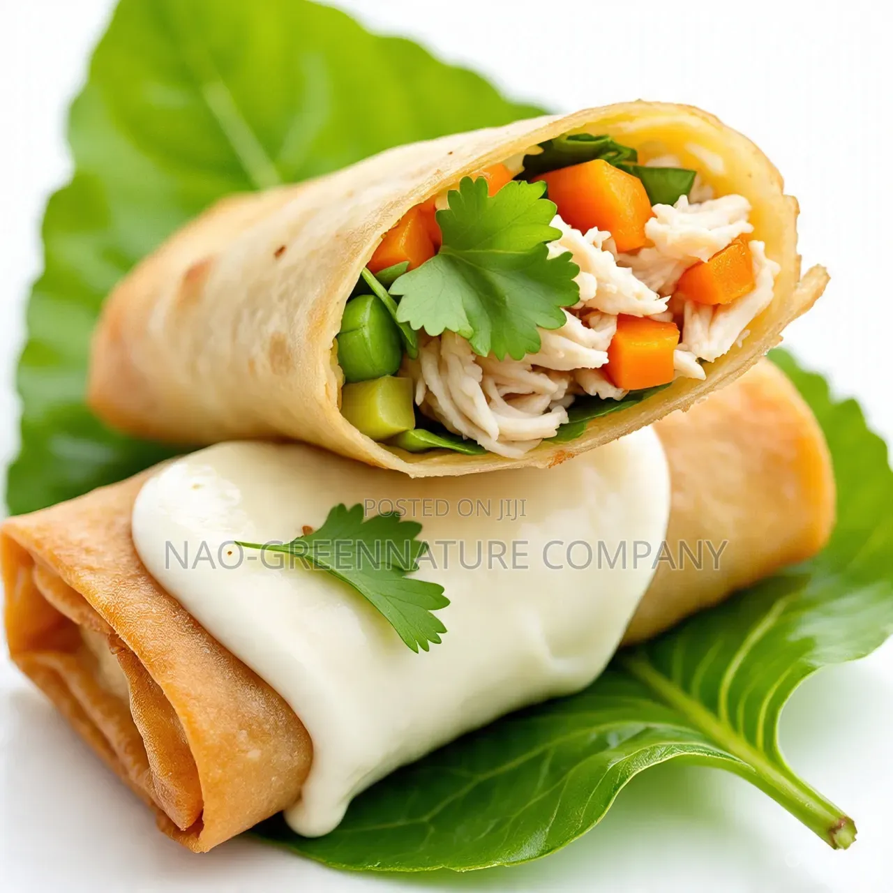 Frozen Spring Rolls
