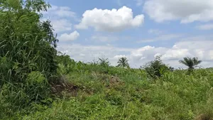 1 and Half Acres of Land for Sale at Madina Zongo Junction