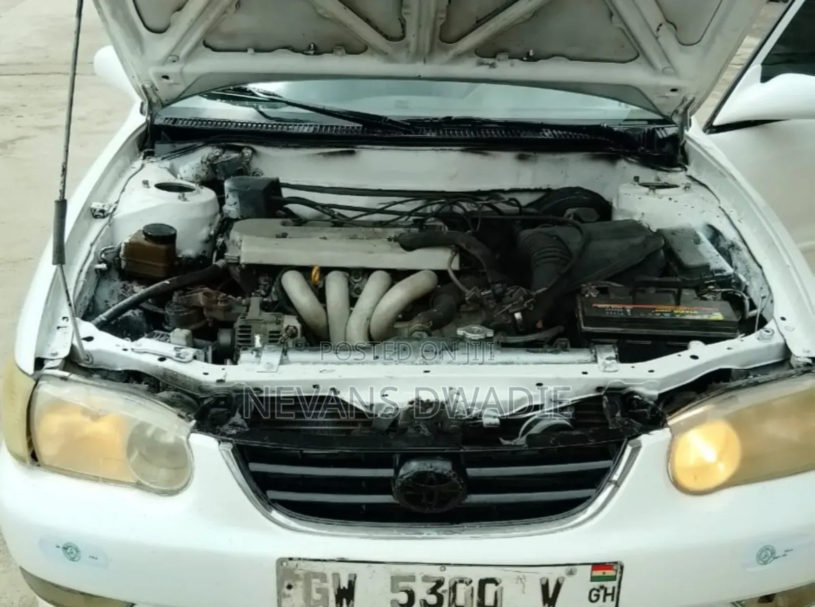 Toyota Corolla 2004 White