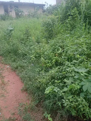 1 and Half Plot of Land for Sale at Ritz Junction Madina
