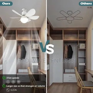 Mini Fan With Light