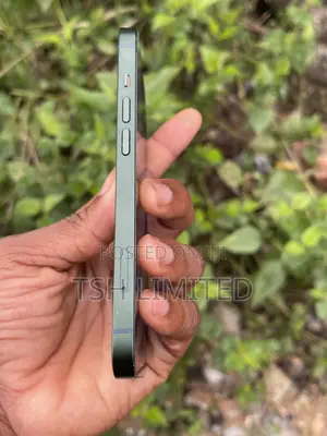 Apple iPhone 13 128 GB Green