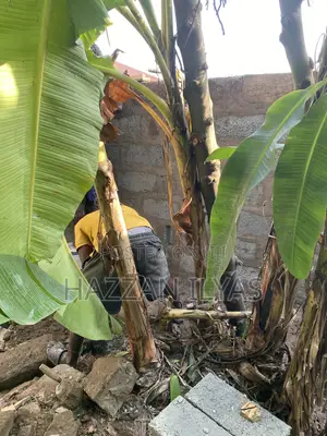 Construction Work
