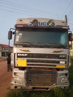 Daf Xf 2010 Gray Head &Trailer