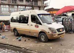 Mercedes-Benz Sprinter 2009 White