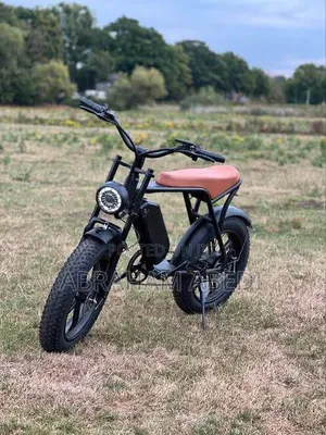 Motorcycle 2026 Brown