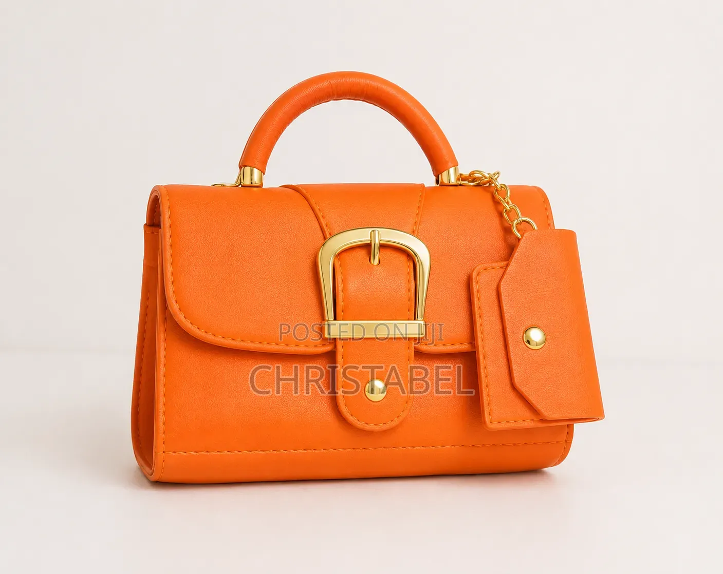 Fashion Bags and Dress