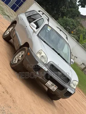 Hyundai Santa Fe 2004 Silver