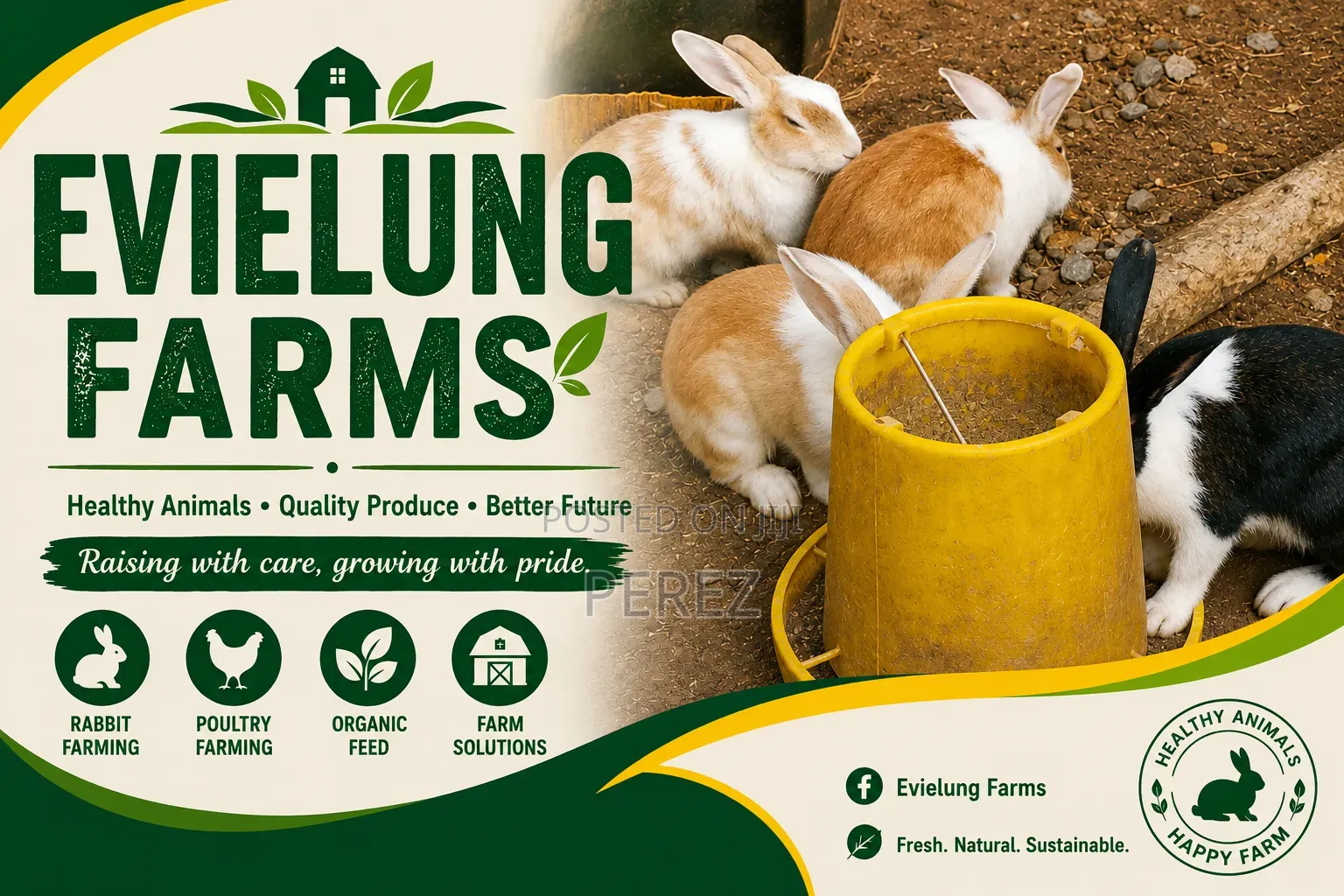 Evielung Rabbit Farms