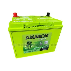 Heavy-Duty Amaron Maintenance-Free 15plt Battery