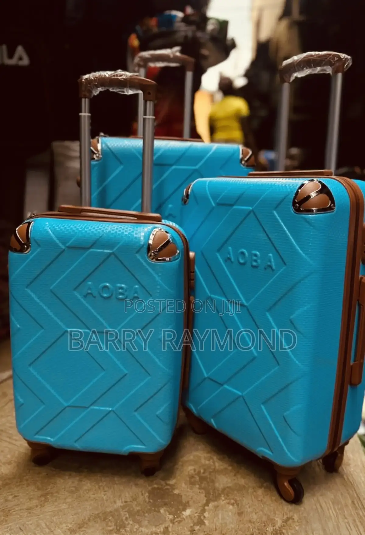Travel Bags/Luggage