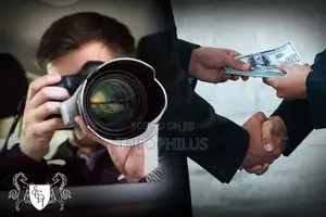 Private Investigators