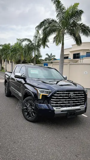 Toyota Tundra 2024 Blue