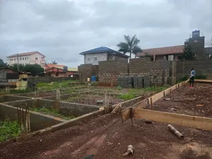 1 or Half Plot for Sale at Tantra Hills