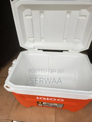 Igloo Cooler