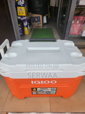 Igloo Cooler