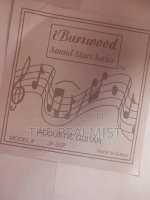 Burswood Jf30p 1/2 Acoustic Guitar
