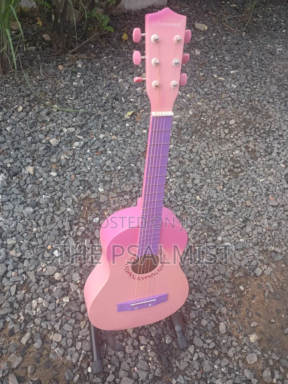 Burswood Jf30p 1/2 Acoustic Guitar