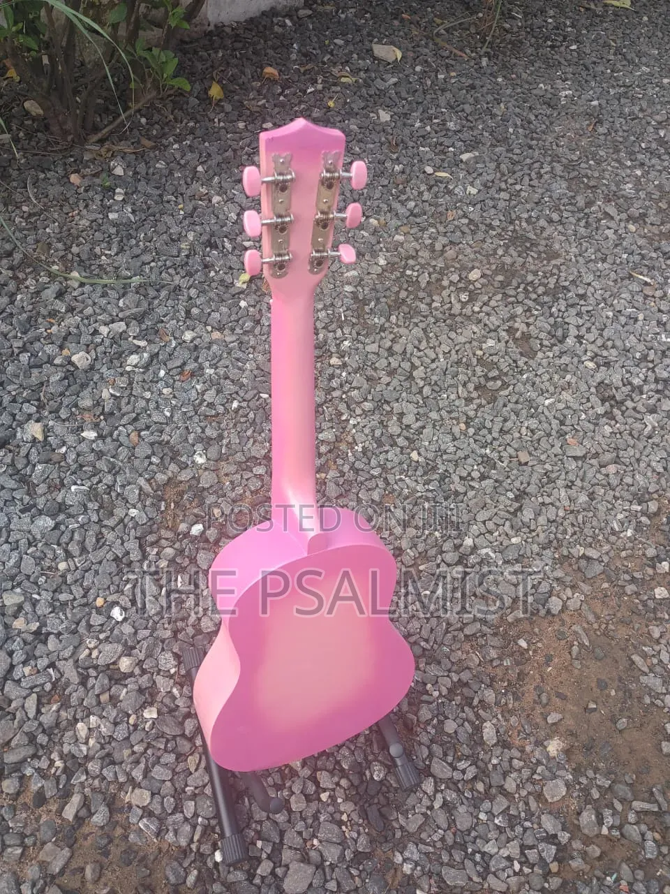 Burswood Jf30p 1/2 Acoustic Guitar