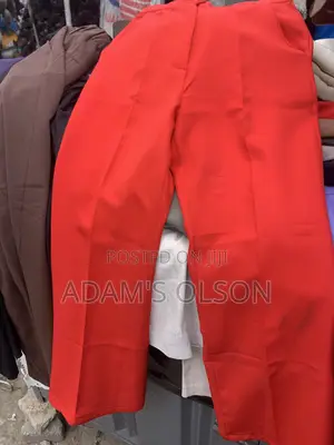 I Sell All Kinds of Ladies Office Trousers