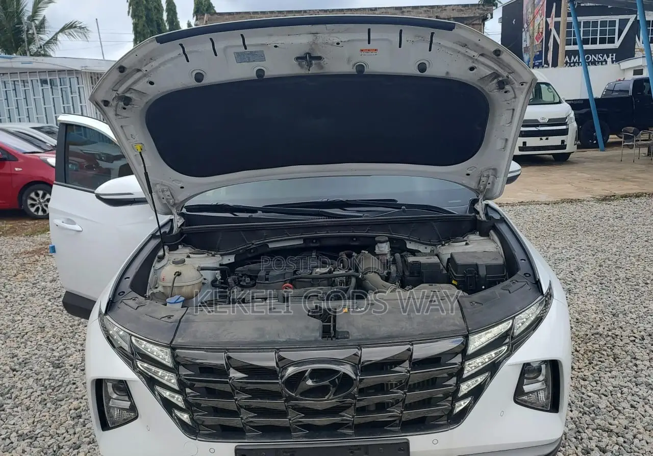 Hyundai Tucson Limited 2022 White