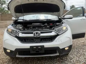 Honda CR-V EX AWD 2019 White