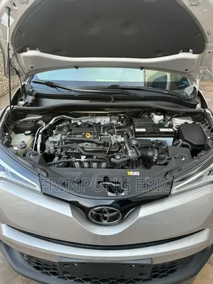 Toyota C-HR 2020 Gray