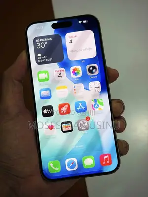 Apple iPhone 15 Pro Max 256 GB Gray