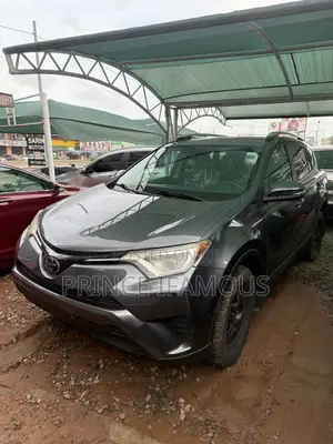 Toyota RAV4 LE 4dr SUV AWD (2.5L 4cyl 6A) 2018 Gray