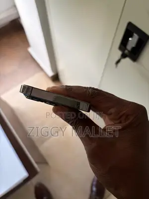 Apple iPhone 13 Pro 256 GB Gray
