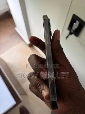 Apple iPhone 13 Pro 256 GB Gray