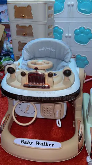 Classy Multifunctional Push Walker