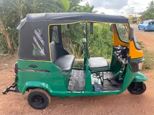 TVS King Deluxe Plus iTouch Start 2024 Green