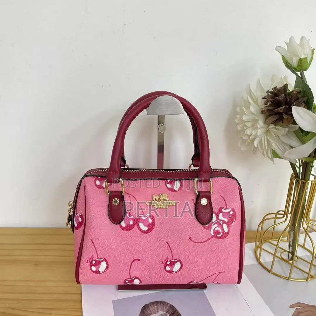 Coach Ladies Bag