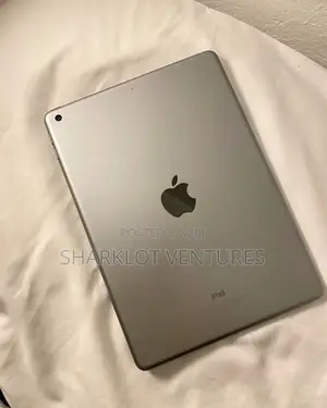 Apple iPad Air 2 16 GB