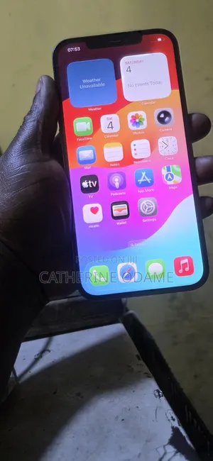 Apple iPhone 12 Pro Max 256 GB Blue