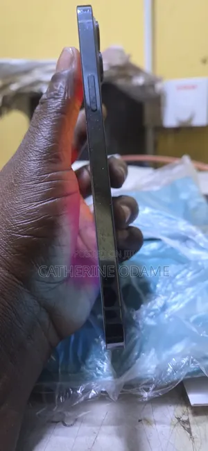 Apple iPhone 12 Pro Max 256 GB Blue