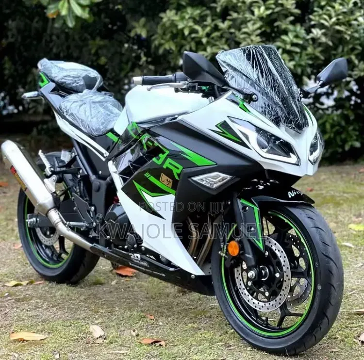 Kawasaki Ninja 300 2020 Yellow