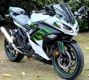 Kawasaki Ninja 300 2020 Yellow
